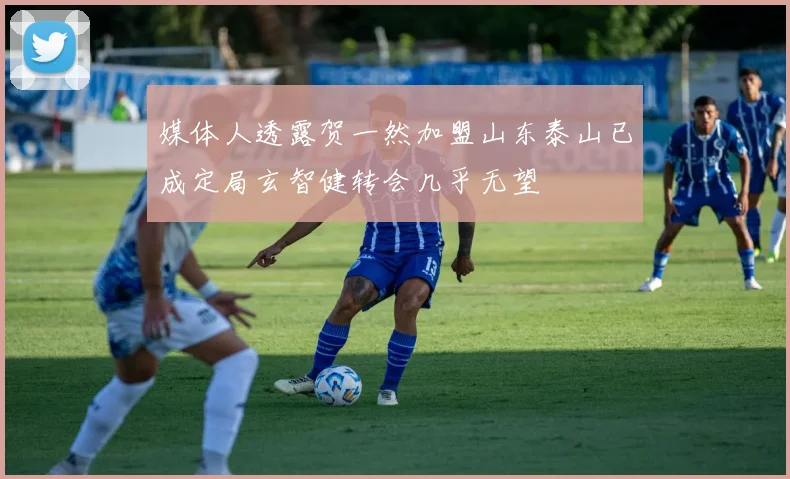 媒体人透露贺一然加盟山东泰山已成定局玄智健转会几乎无望