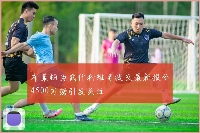 布莱顿为武什科维奇提交最新报价4500万镑引发关注